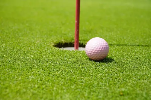 A golf ball is on the green near a hole.